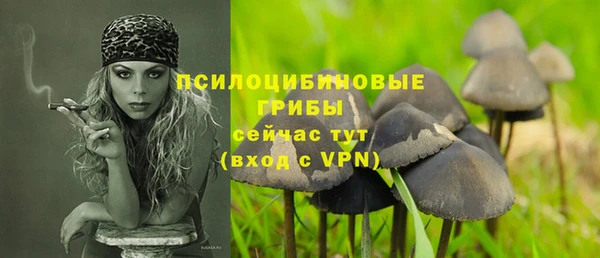 бутират Осташков