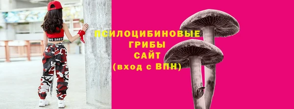 apvp Нестеровская