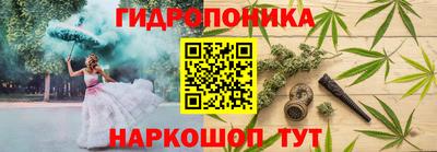 винт Донецк