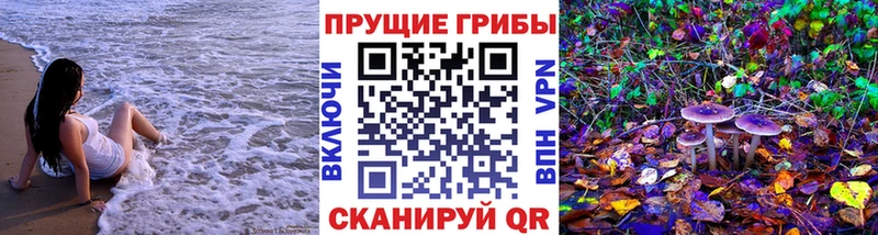где купить наркоту Кулебаки Псилоцибиновые грибы MAGIC MUSHROOMS
