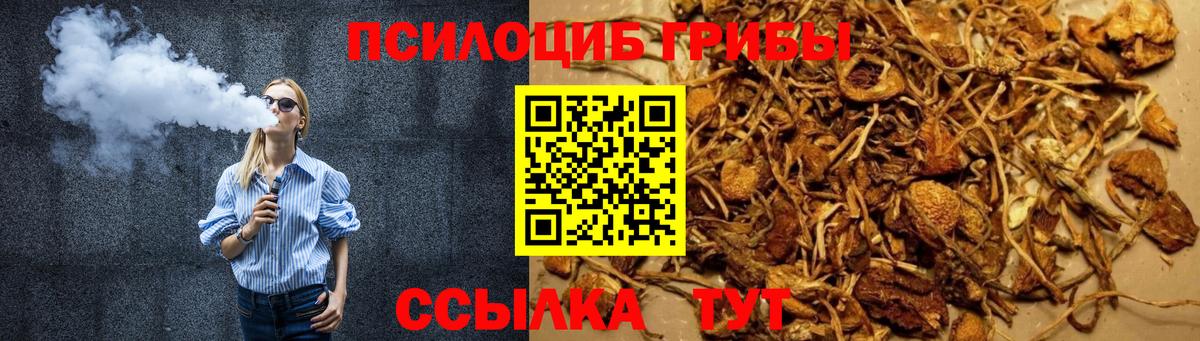 Псилоцибиновые грибы Cubensis Кулебаки